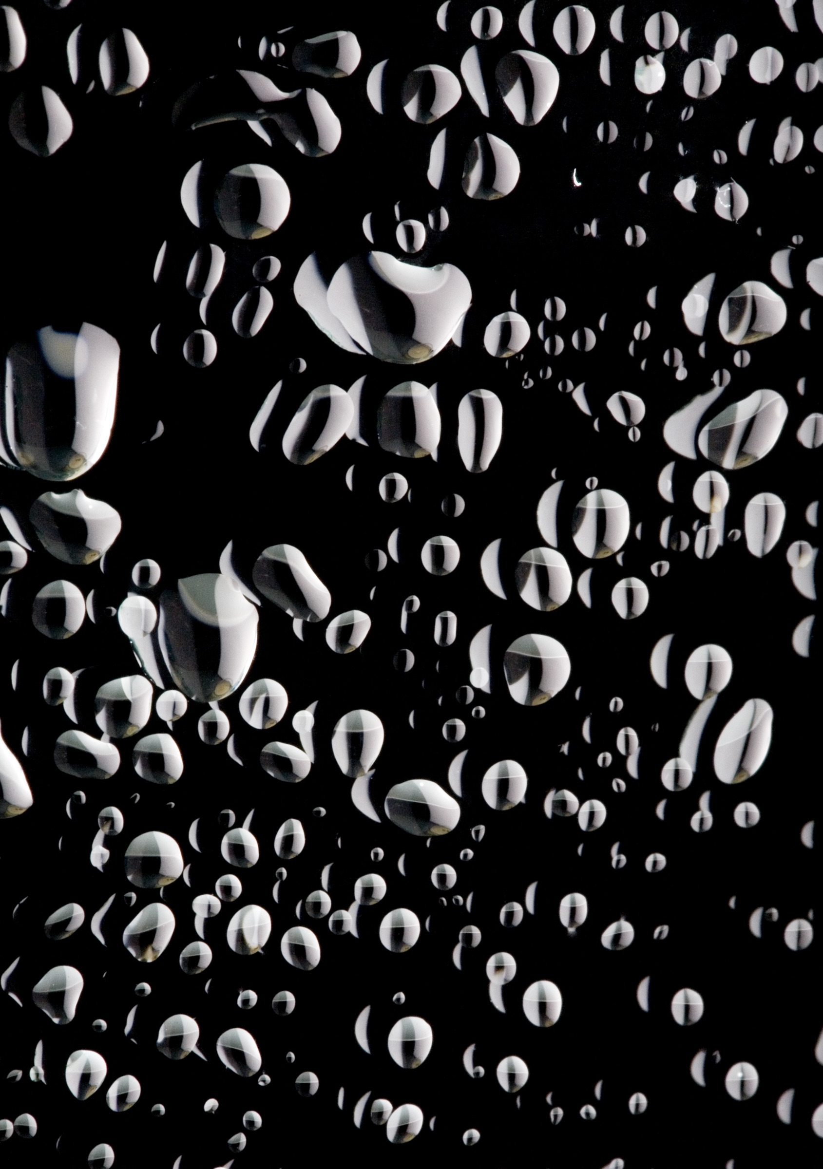 Water droplets photographed as abstract pattern and texture.